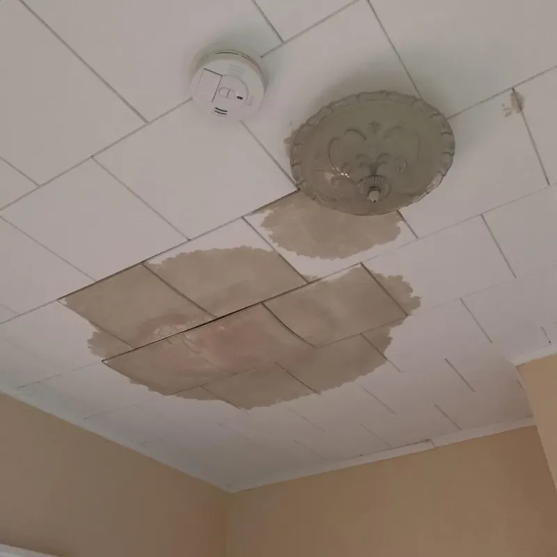 Ceiling Water Damage Repair in Marshall County, OK