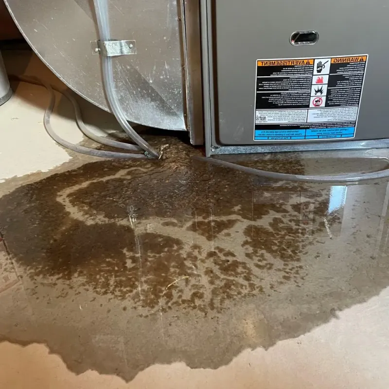 Pipe Burst and Leak Restoration in Marshall County, OK